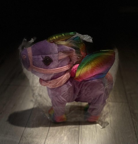 Walking purple unicorn toys - walking,